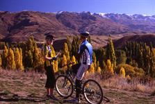 Mountain Biking in Autumn