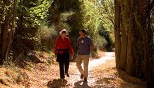 Autumn Walk - Clyde to Alexandra River Track
