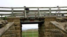 Railway Bridge - Otago Central Rail Trail