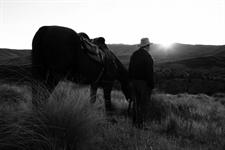 High Country Muster - Maniototo